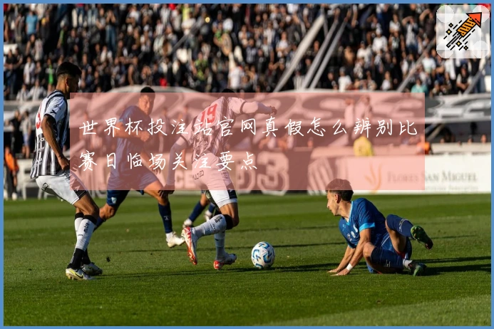 世界杯投注站官网真假怎么辨别比赛日临场关注要点