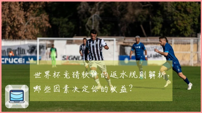 世界杯竞猜软件的返水规则解析，哪些因素决定你的收益？