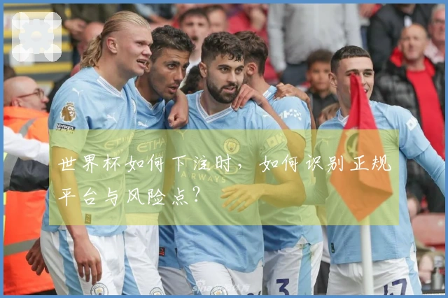 世界杯如何下注时，如何识别正规平台与风险点？