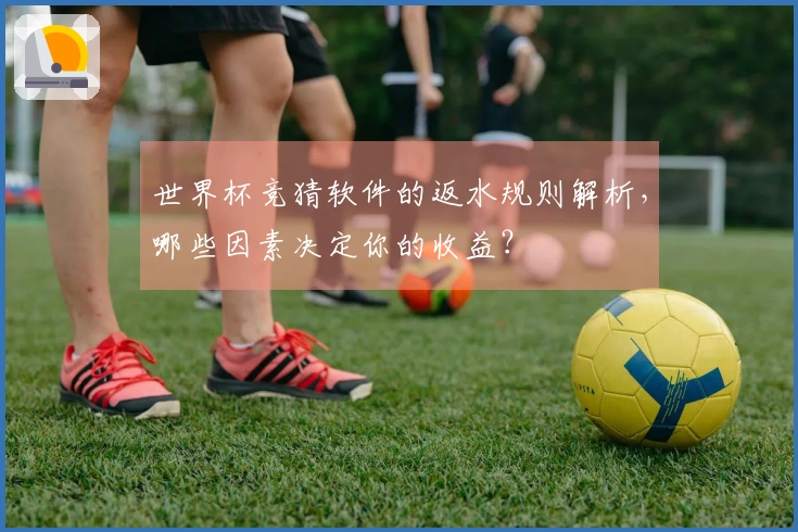 世界杯竞猜软件的返水规则解析，哪些因素决定你的收益？