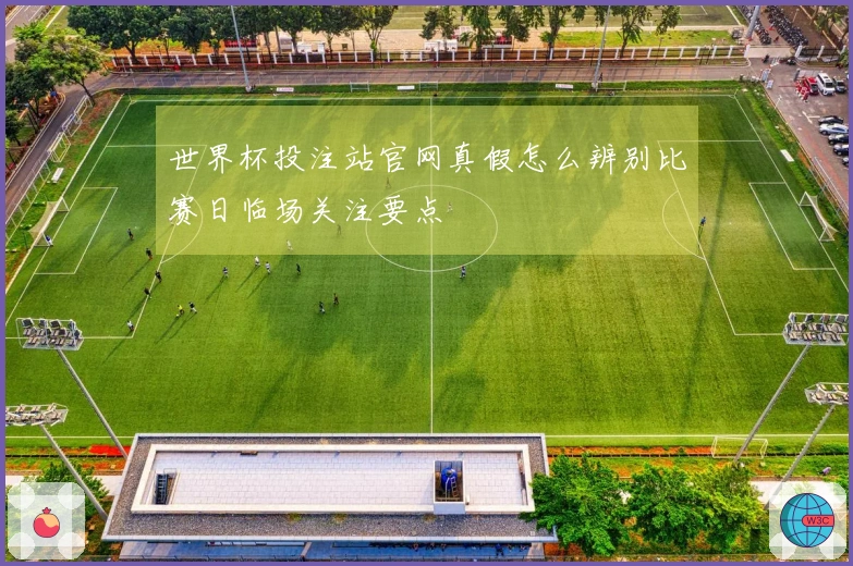 世界杯投注站官网真假怎么辨别比赛日临场关注要点