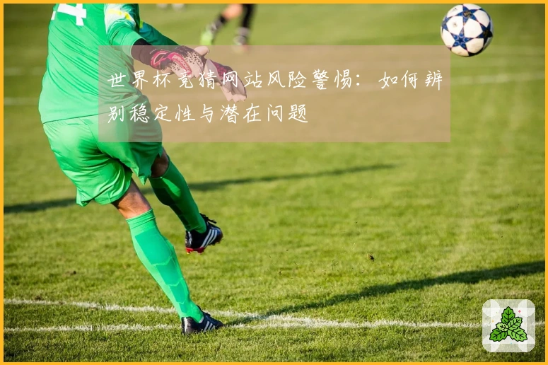 世界杯竞猜网站风险警惕：如何辨别稳定性与潜在问题