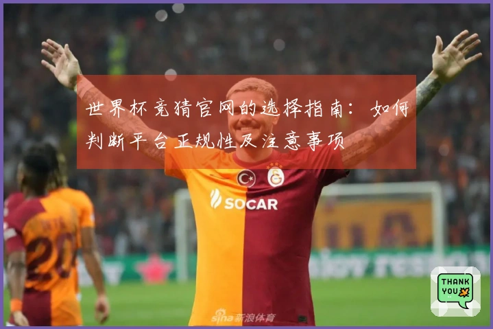 世界杯竞猜官网的选择指南：如何判断平台正规性及注意事项
